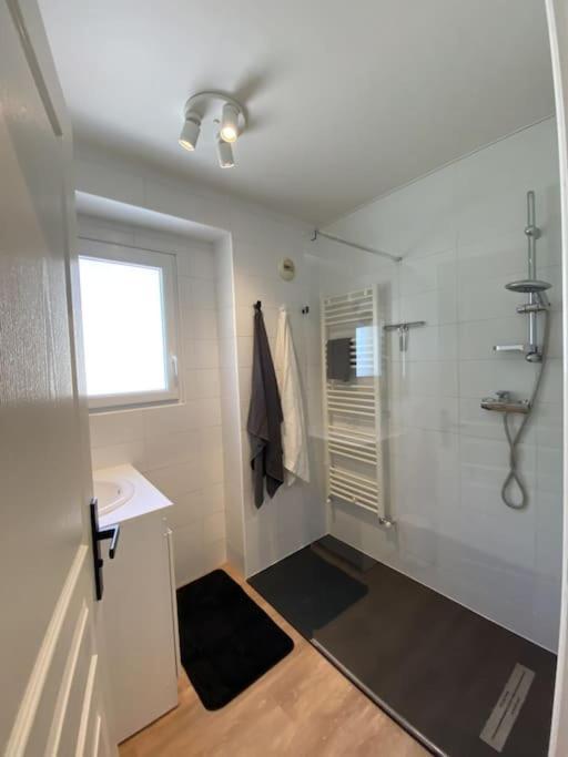 Magnifique Appart Renove Evian Duplex Vue Lac 8 Pers 외부 사진